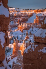 Bryce Canyon ©Jonathan Vandevoorde